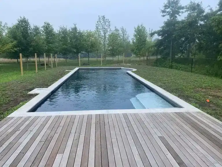 Pool with a light stone coping edge meeting a wide ipe wood deck, birch trees and a pasture behind